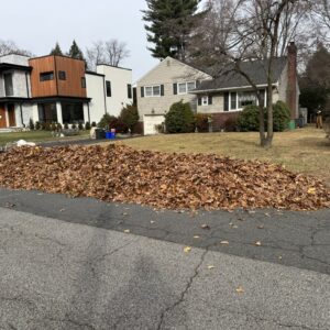 Fall Leaf Removal Program