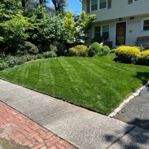 Lawn Maintenance