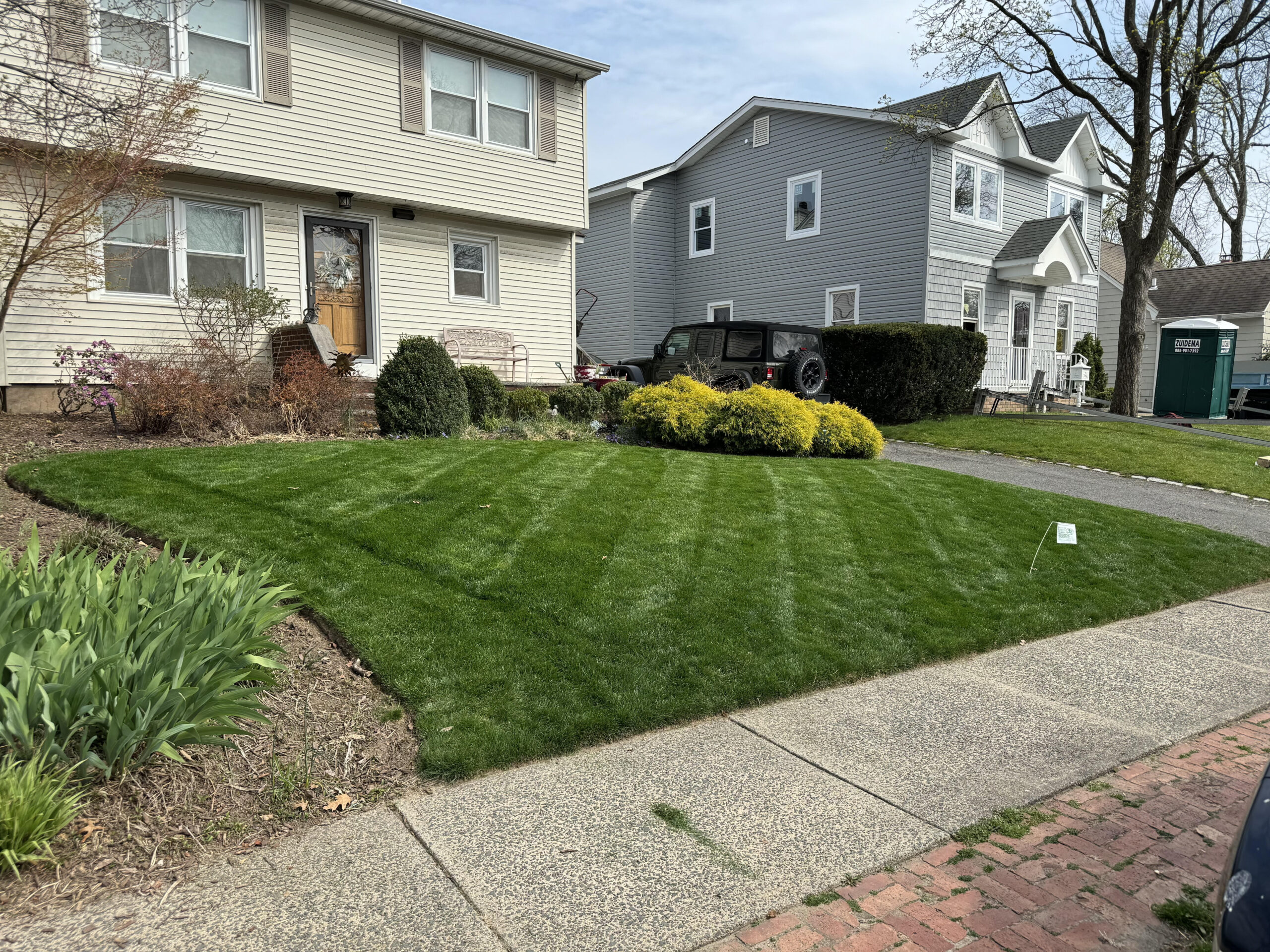 Coleman Brothers Landscaping lawn care project